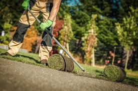 Landscaping & Garden Services